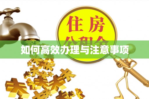 灵丘如何高效办理与注意事项