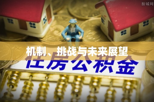 灵丘机制、挑战与未来展望