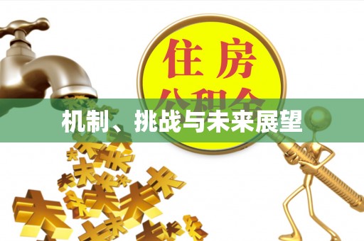 灵丘机制、挑战与未来展望